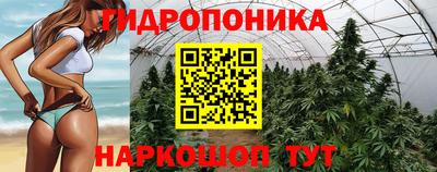 Альфа ПВП Ливны