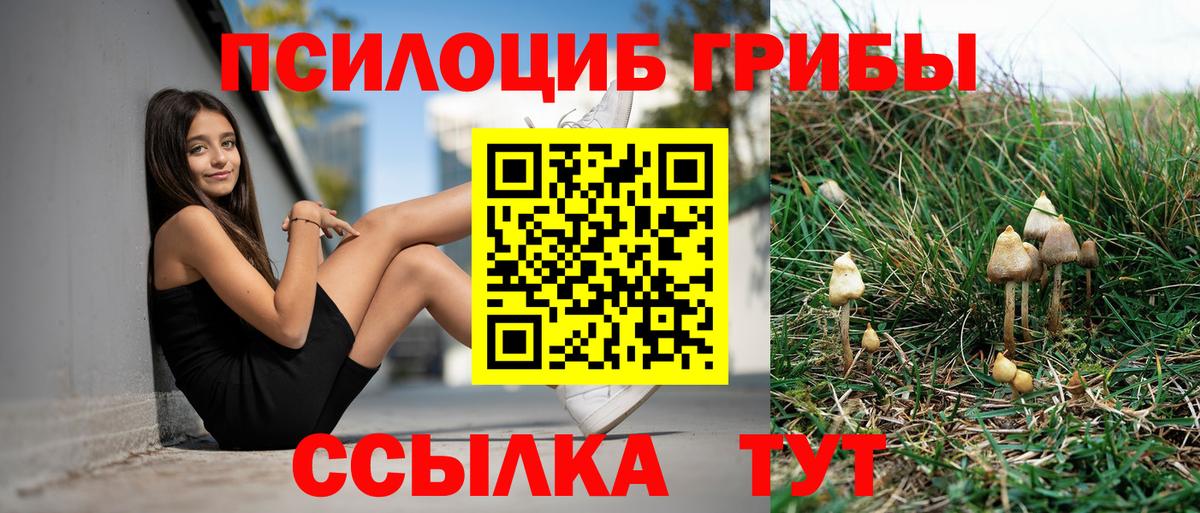 Псилоцибиновые грибы Psilocybine cubensis Звенигород